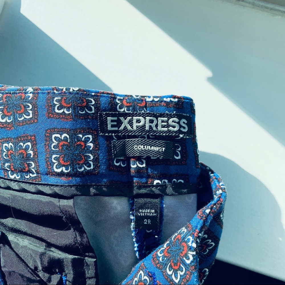 Express Columnist Pants